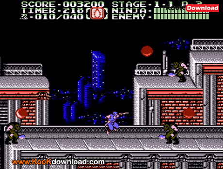 Ninja Gaiden2