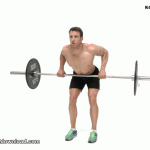 آموزش حرکت زیربغل هالتر خم Barbell Bentover Row