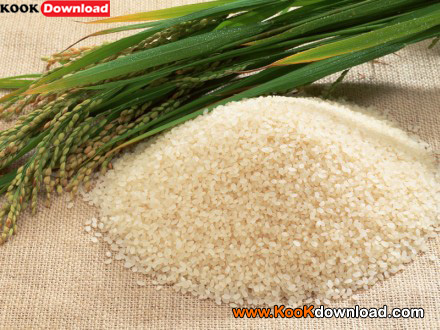 پیشگیری از شپشک برنج