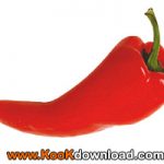 غذا های لاغر کننده و چربی سوز