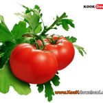 سفت کردن گو جه های نرم