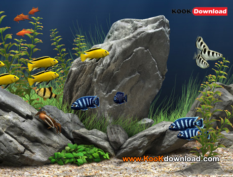 دانلود اسکرین سیور آکواریوم Dream Aquarium Screensaver 1.24