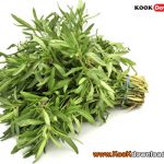 روش کاشت مَرزِه