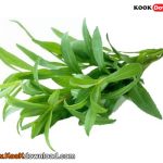 روش کاشت ترخون